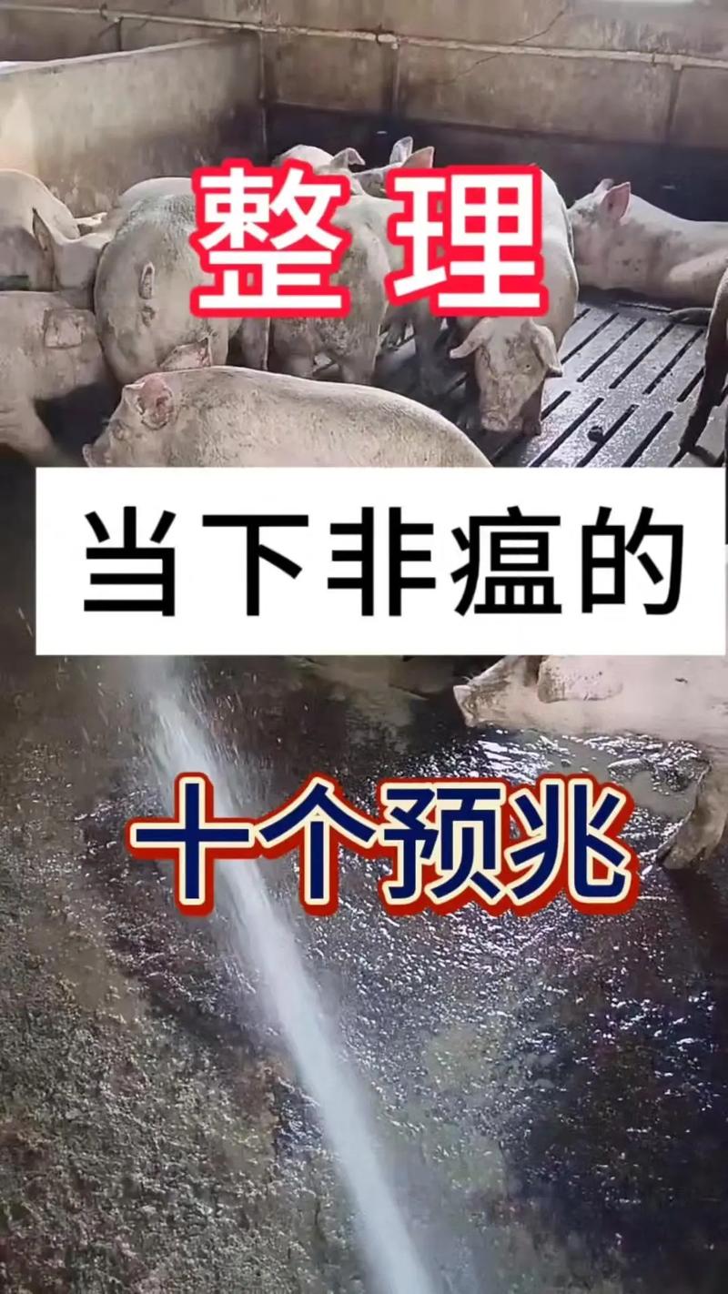 【安徽猪肉疫情/安徽猪肉阳性】