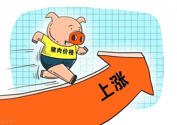 【安徽猪肉疫情/安徽猪肉阳性】-第4张图片 【安徽猪肉疫情/安徽猪肉阳性】-第4张图片