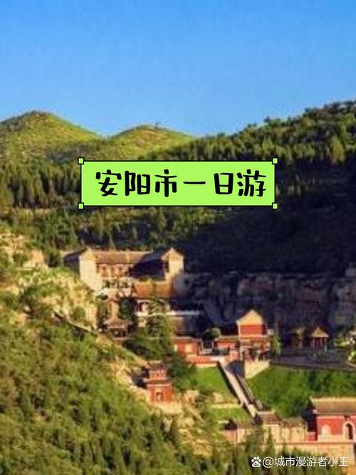 关于“安阳疫情司机”你可能想知道-第5张图片 关于“安阳疫情司机”你可能想知道-第5张图片