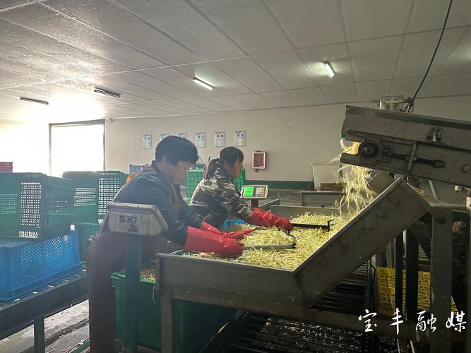 安捷伦疫情-安捷伦医疗器械有限公司-第3张图片 安捷伦疫情-安捷伦医疗器械有限公司-第3张图片