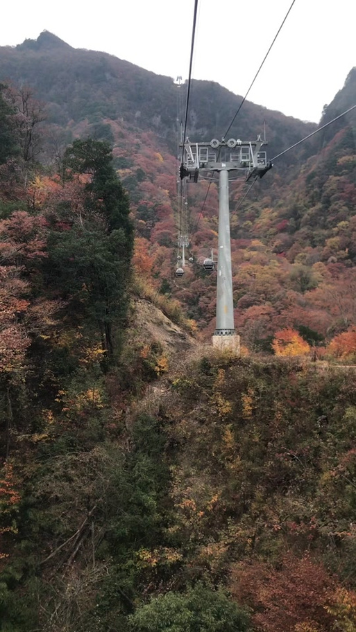 【巴中市疫情/巴中市疫情情况】