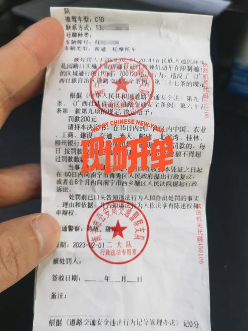 限行被拍怎么处罚/上海限行被拍怎么处罚-第7张图片 限行被拍怎么处罚/上海限行被拍怎么处罚-第7张图片