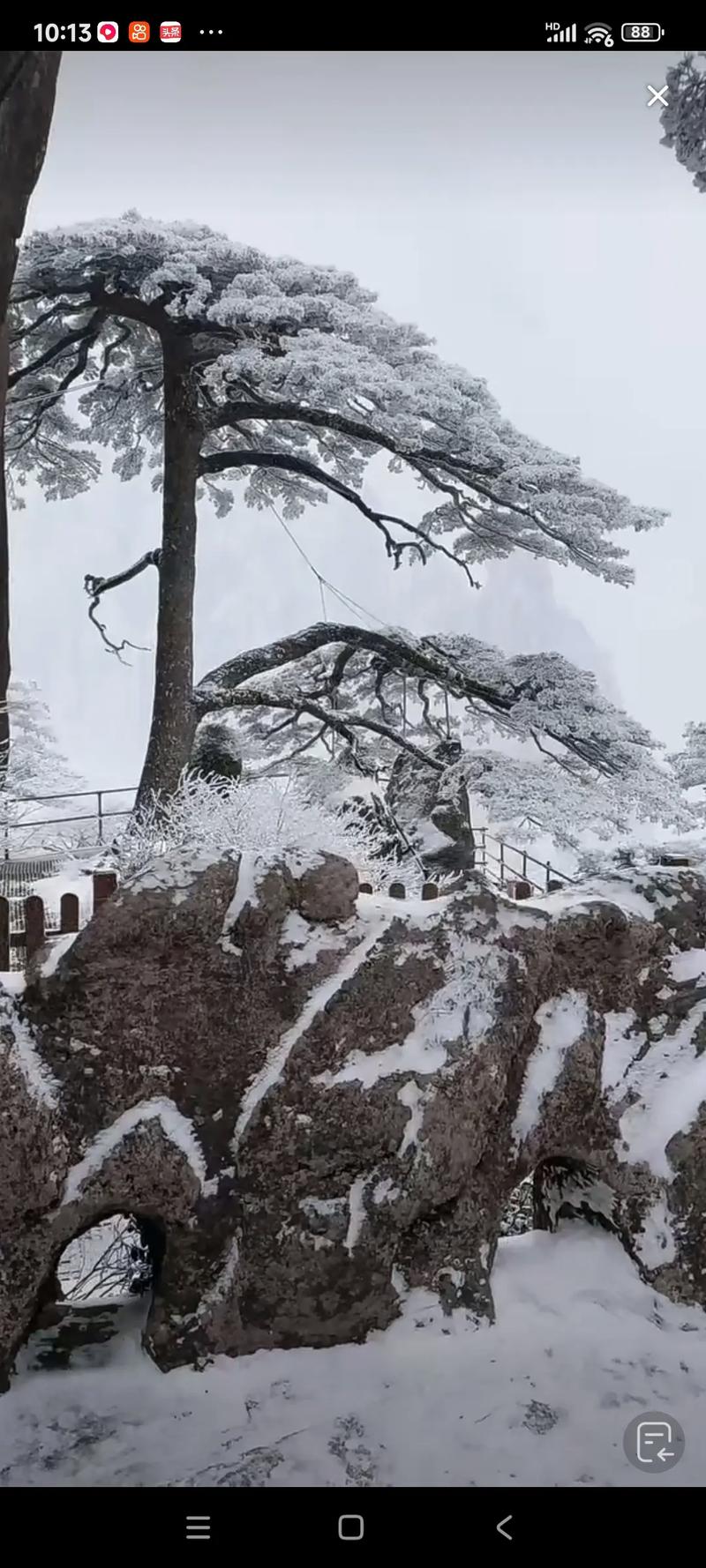 安微黄山天气,安徽黄山天气预报-第8张图片 安微黄山天气,安徽黄山天气预报-第8张图片
