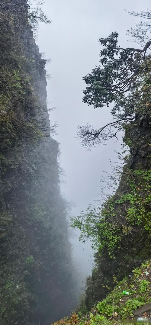 峨眉山天气预报/峨眉山天气预报实时-第7张图片 峨眉山天气预报/峨眉山天气预报实时-第7张图片