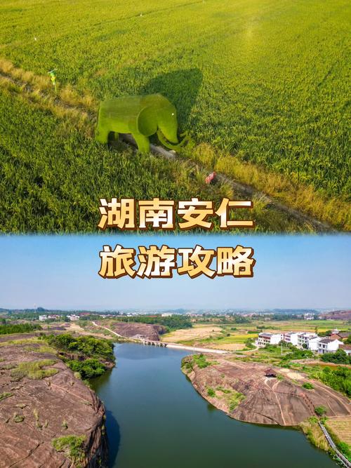 安仁最新疫情,安仁最新疫情情况-第2张图片 安仁最新疫情,安仁最新疫情情况-第2张图片