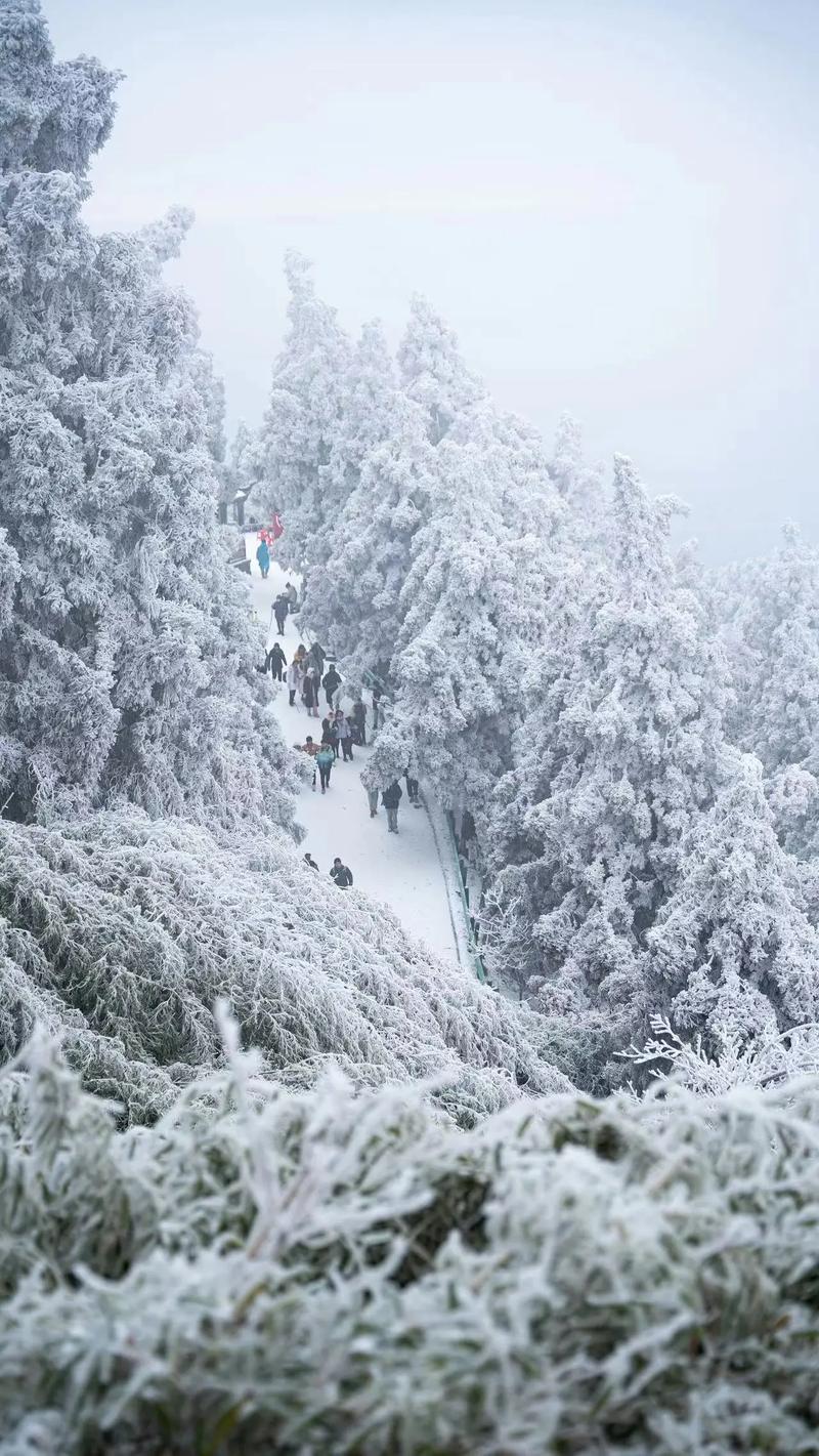 南岳天气预报,南岳天气预报最新-第3张图片 南岳天气预报,南岳天气预报最新-第3张图片