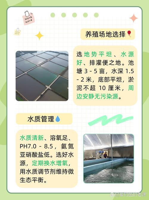 关于“安康虾疫情”你可能想知道-第9张图片 关于“安康虾疫情”你可能想知道-第9张图片