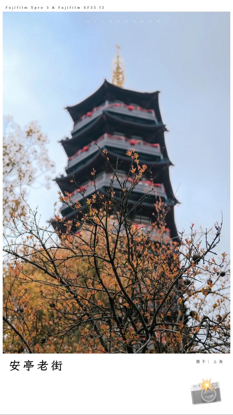 安亭疫情询问,安亭防疫站 电话-第8张图片 安亭疫情询问,安亭防疫站 电话-第8张图片