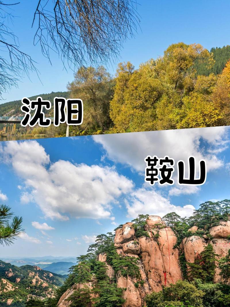 关于“鞍山今天疫情”你可能想知道-第1张图片 关于“鞍山今天疫情”你可能想知道-第1张图片
