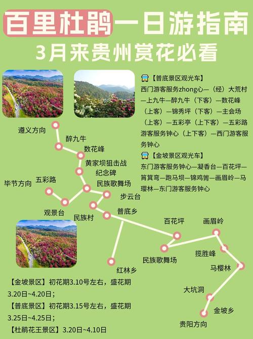 关于“毕节市天气预报”你可能想知道-第5张图片 关于“毕节市天气预报”你可能想知道-第5张图片