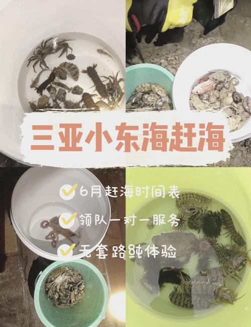 【东海天气/东海天气查询】-第5张图片 【东海天气/东海天气查询】-第5张图片