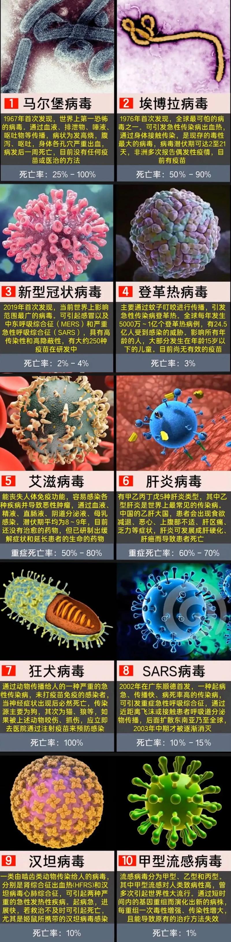 新冠疫情已影响全球超八成劳动人口/疫情对中国劳动力市场的影响-第2张图片