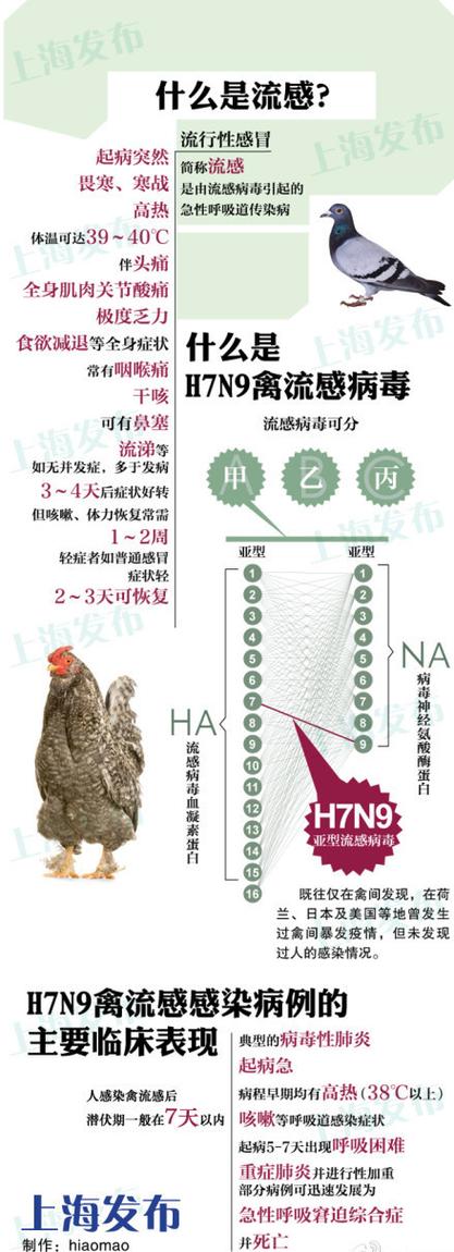 【禽流感疫情/禽流感疫情英国】-第4张图片 【禽流感疫情/禽流感疫情英国】-第4张图片