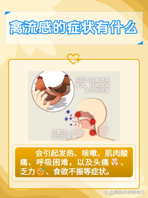 【禽流感疫情/禽流感疫情英国】-第6张图片 【禽流感疫情/禽流感疫情英国】-第6张图片