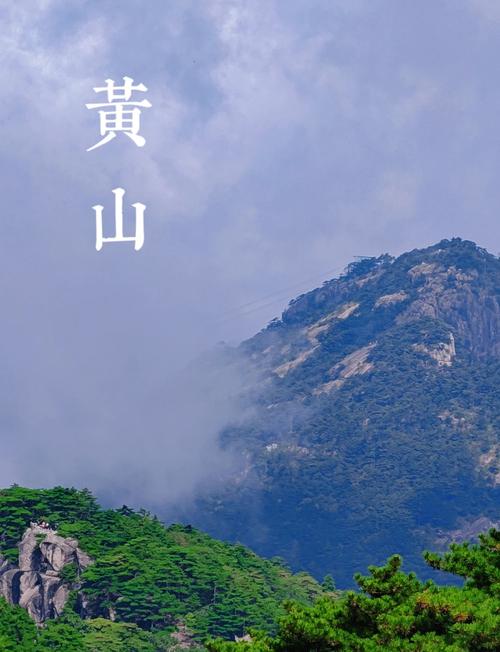 安徽疫情现状数据-安徽疫情实时更新数据-第6张图片