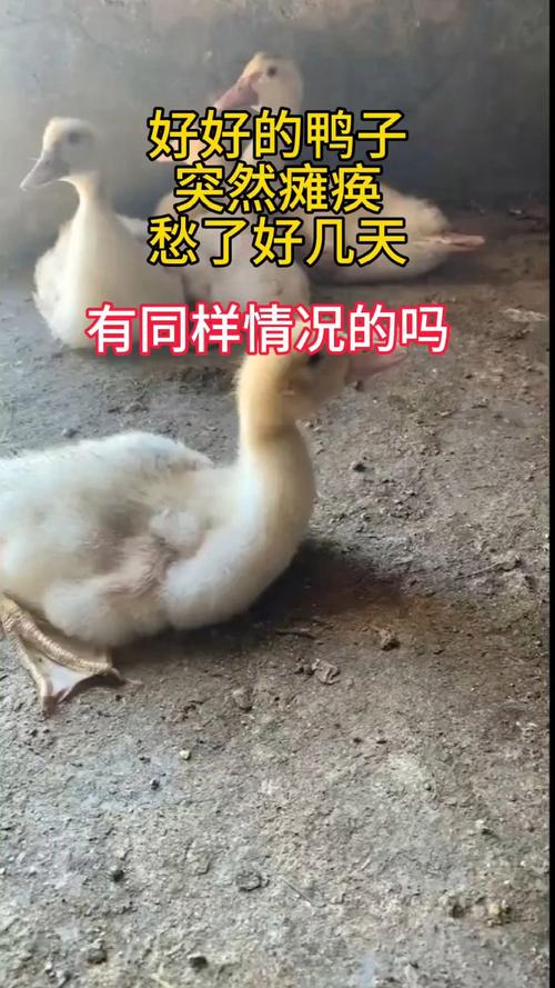 安庆25疫情,安庆最新-第1张图片 安庆25疫情,安庆最新-第1张图片