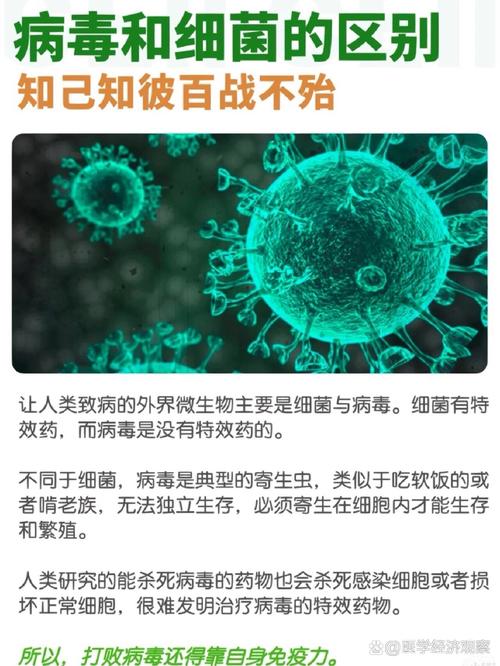 安顺疫情捐赠/安顺疫情捐赠活动-第4张图片