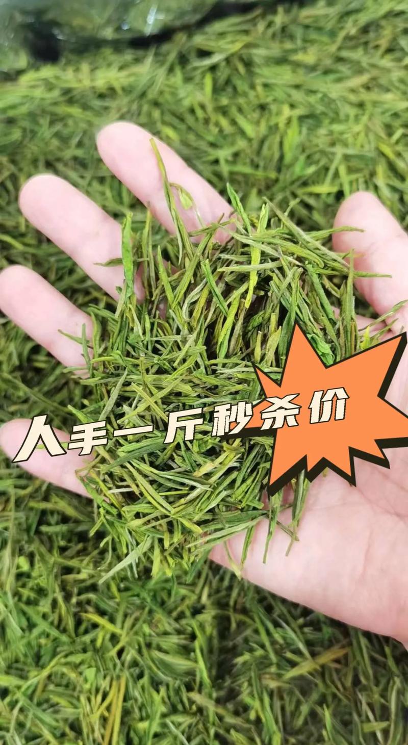 【安吉疫情等级/浙江安吉疫情等级】-第4张图片 【安吉疫情等级/浙江安吉疫情等级】-第4张图片