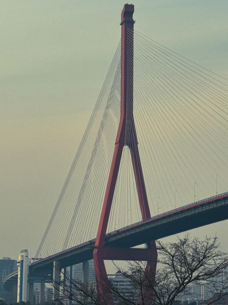 杨浦大桥限行,杨浦大桥限行规定-第1张图片 杨浦大桥限行,杨浦大桥限行规定-第1张图片