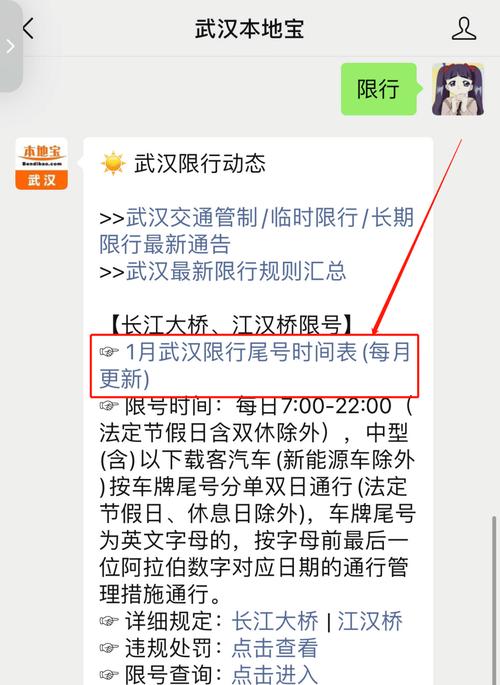 武汉限行罚款多少/武汉限行扣多少分-第8张图片 武汉限行罚款多少/武汉限行扣多少分-第8张图片