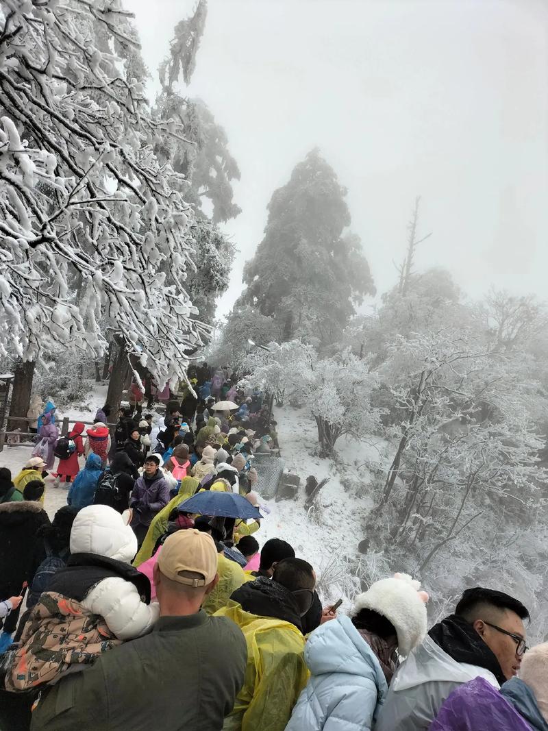 四川乐山天气预报,四川乐山天气预报15天查询结果-第8张图片 四川乐山天气预报,四川乐山天气预报15天查询结果-第8张图片