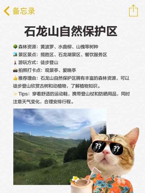 【七台河市天气预报/七台河市天气预报30天】