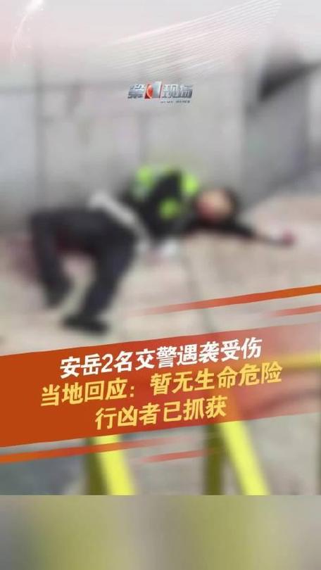 关于“安岳天气预报”你可能想知道-第5张图片