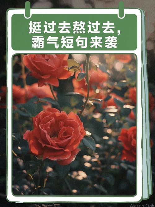 【熬到疫情过去/熬到疫情过去的句子】-第4张图片 【熬到疫情过去/熬到疫情过去的句子】-第4张图片