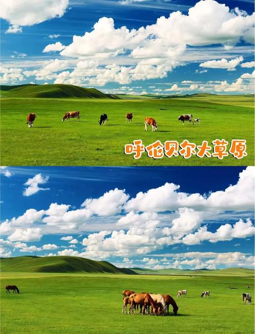 【海拉尔天气预报/海拉尔天气预报15天】-第3张图片 【海拉尔天气预报/海拉尔天气预报15天】-第3张图片