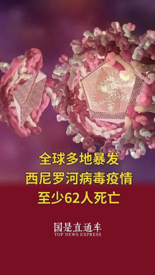 美国疫情最新情况,美国疫情最新情况2025年-第9张图片 美国疫情最新情况,美国疫情最新情况2025年-第9张图片