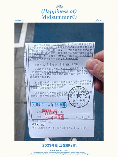 成都限行开车怎么处罚,限行一天被拍两次怎么处理-第8张图片 成都限行开车怎么处罚,限行一天被拍两次怎么处理-第8张图片