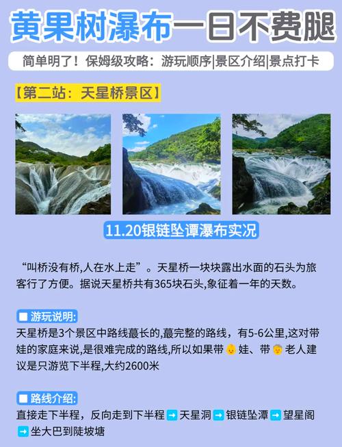 安顺疫情电话，安顺市新冠肺炎疫情防控指挥部-第3张图片