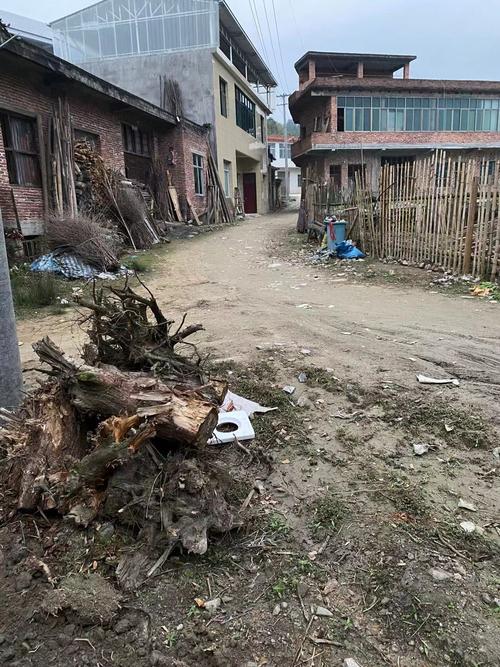 安化疫情发布-安化疫情通报-第6张图片 安化疫情发布-安化疫情通报-第6张图片