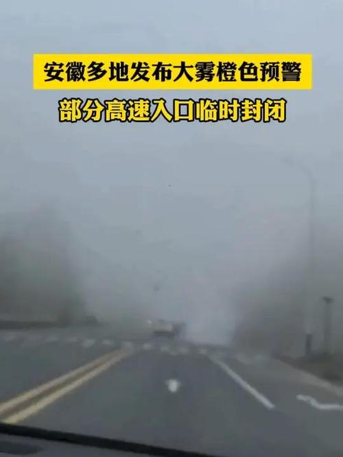 安徽全椒疫情-安徽全椒疫情防控电话-第4张图片 安徽全椒疫情-安徽全椒疫情防控电话-第4张图片