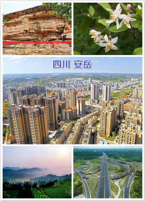 安岳疫情通知-安岳防疫公告-第4张图片 安岳疫情通知-安岳防疫公告-第4张图片