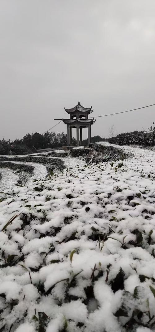 万州天气,万州天气预报一周 7天-第4张图片 万州天气,万州天气预报一周 7天-第4张图片