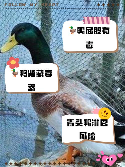 【安庆今日疫情/安庆役情通报】-第6张图片 【安庆今日疫情/安庆役情通报】-第6张图片