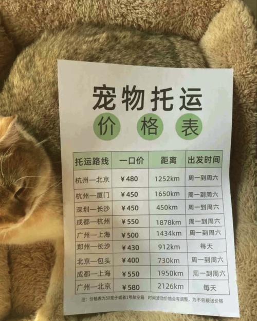 安陆疫情快递,安陆疫情快递能收吗-第9张图片 安陆疫情快递,安陆疫情快递能收吗-第9张图片