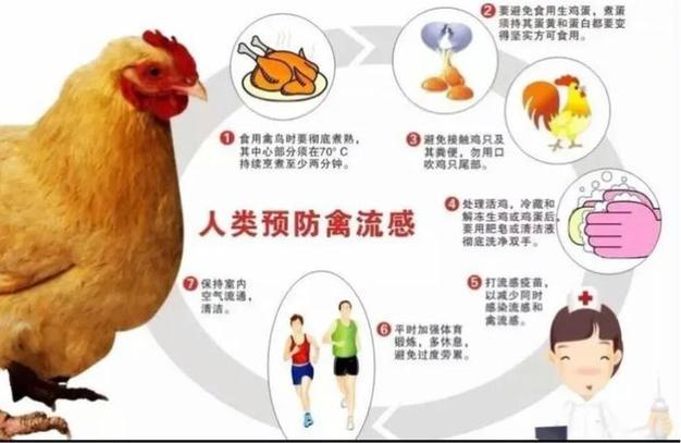 2017贵阳禽流感疫情/贵阳死亡病例-第2张图片 2017贵阳禽流感疫情/贵阳死亡病例-第2张图片