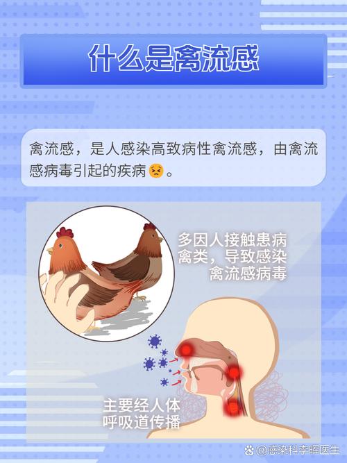 2017贵阳禽流感疫情/贵阳死亡病例-第5张图片 2017贵阳禽流感疫情/贵阳死亡病例-第5张图片