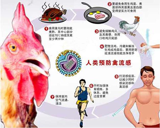2017贵阳禽流感疫情/贵阳死亡病例-第9张图片 2017贵阳禽流感疫情/贵阳死亡病例-第9张图片