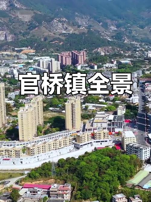 安溪疫情等级/安溪疫情等级划分