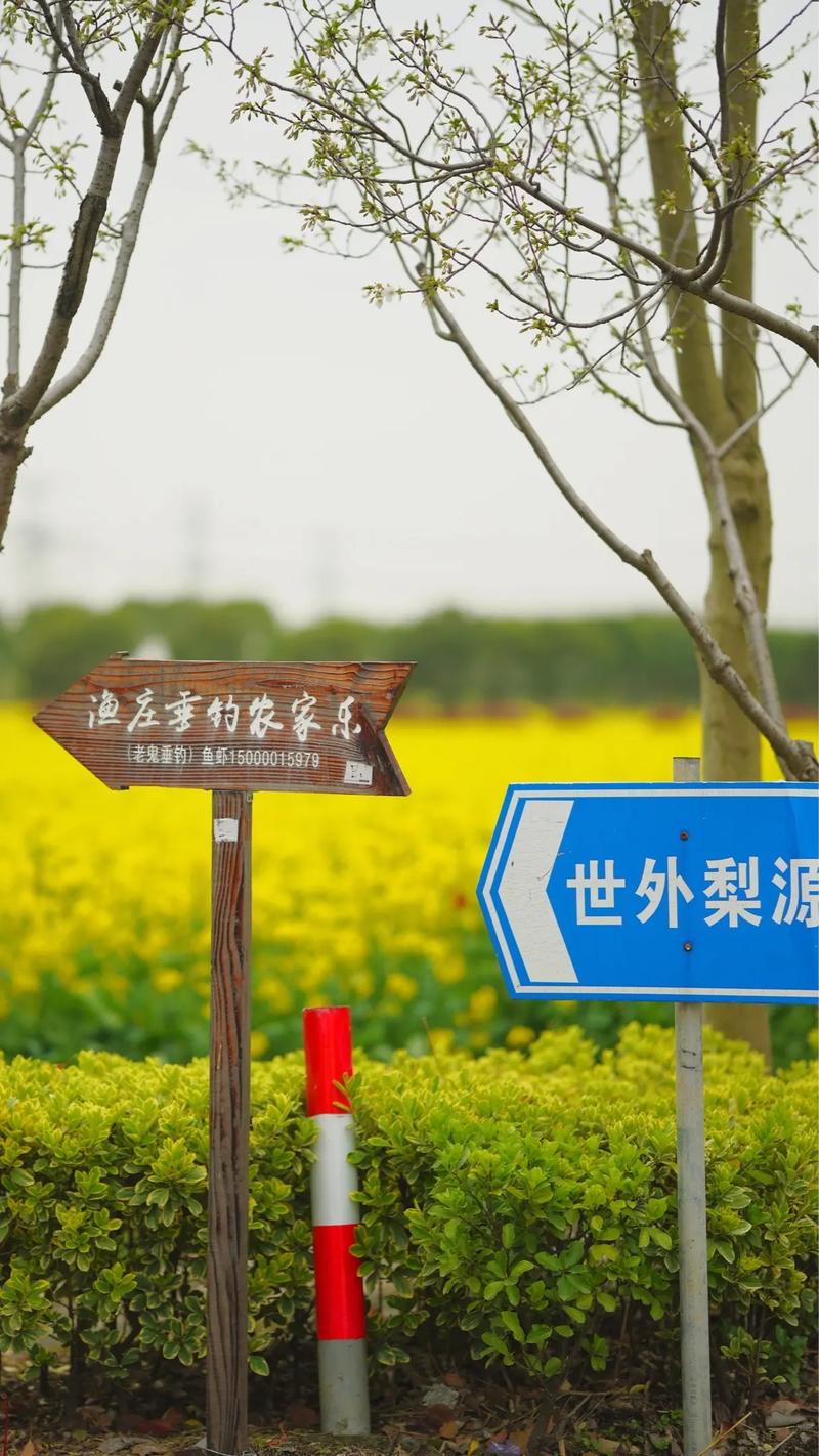 关于“奉贤区天气预报”你可能想知道-第7张图片 关于“奉贤区天气预报”你可能想知道-第7张图片