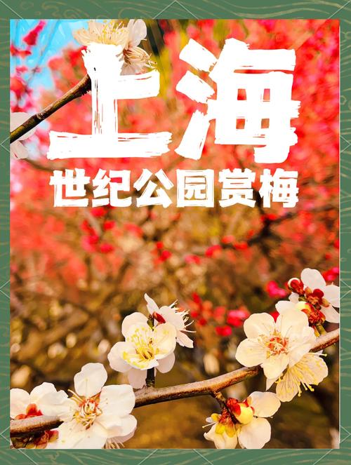 关于“奉贤区天气预报”你可能想知道-第9张图片 关于“奉贤区天气预报”你可能想知道-第9张图片