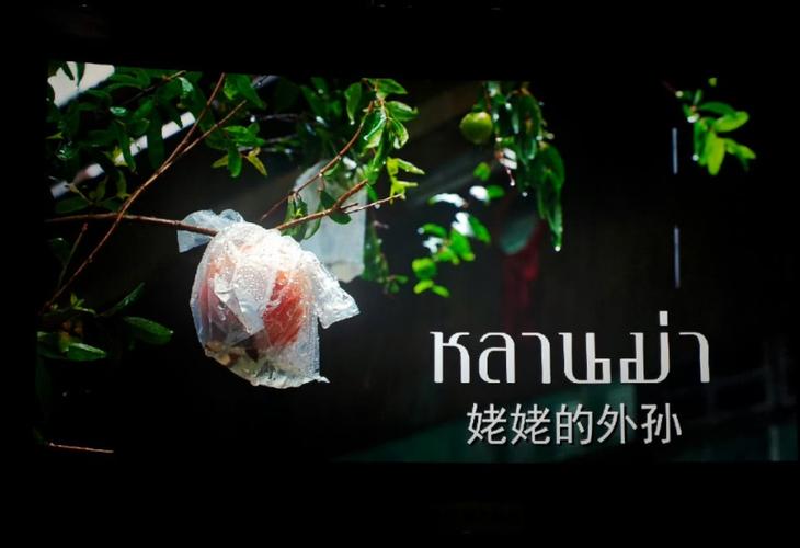 关于“安阳疫情医生”你可能想知道-第7张图片 关于“安阳疫情医生”你可能想知道-第7张图片