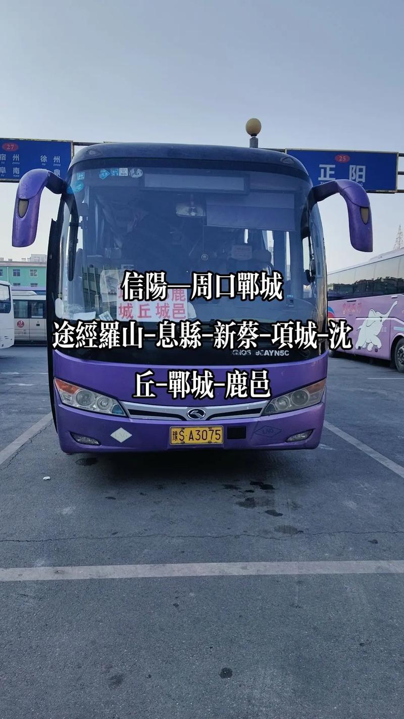 关于“安阳息县疫情”你可能想知道-第5张图片 关于“安阳息县疫情”你可能想知道-第5张图片
