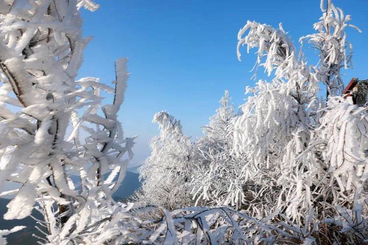 白山天气/2024年6月长白山天气-第6张图片 白山天气/2024年6月长白山天气-第6张图片