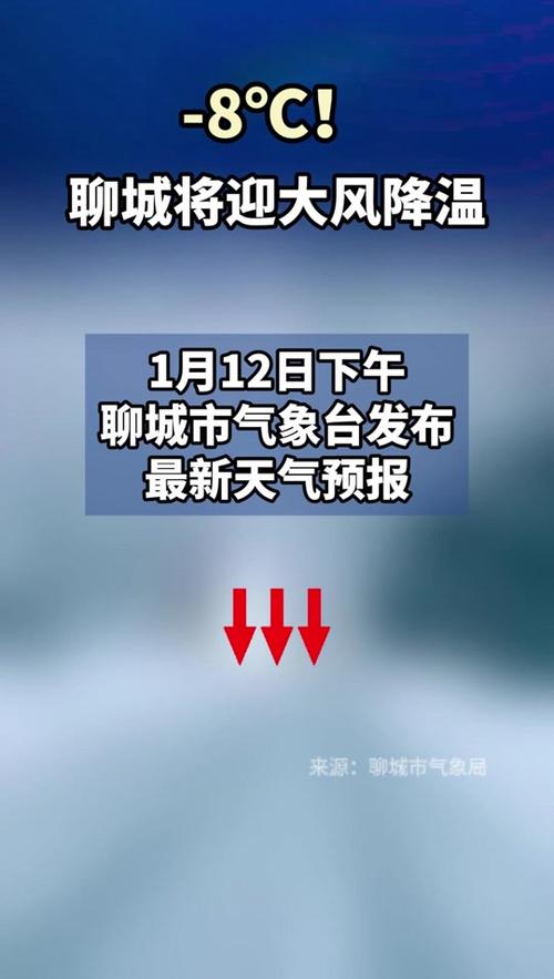 山东聊城天气-山东聊城天气预报15天查询结果是什么
