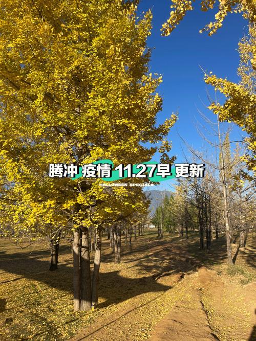 关于“腾冲疫情”你可能想知道-第2张图片 关于“腾冲疫情”你可能想知道-第2张图片