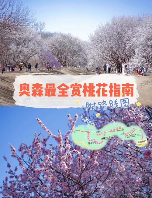 奥森踏青疫情，奥森 景点-第6张图片